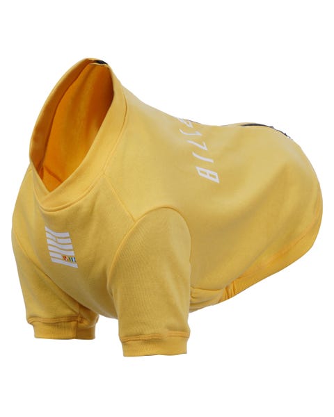 Rukka pets x Billebeino Buddy sweater